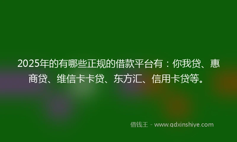 2025年的有哪些正规的借款平台有:你我贷、惠商贷、维信卡卡贷、东方汇、信用卡贷等。