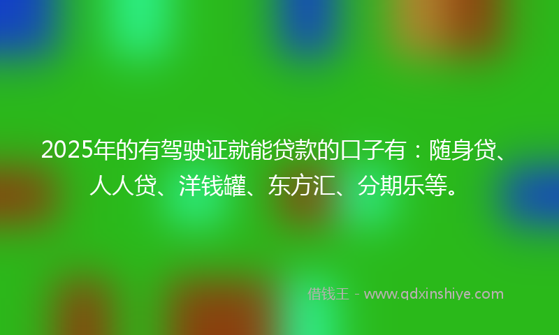 2025年的有驾驶证就能贷款的口子有：随身贷、人人贷、洋钱罐、东方汇、分期乐等。