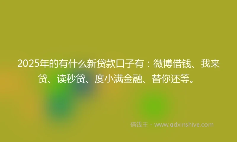 2025年的有什么新贷款口子有：微博借钱、我来贷、读秒贷、度小满金融、替你还等。