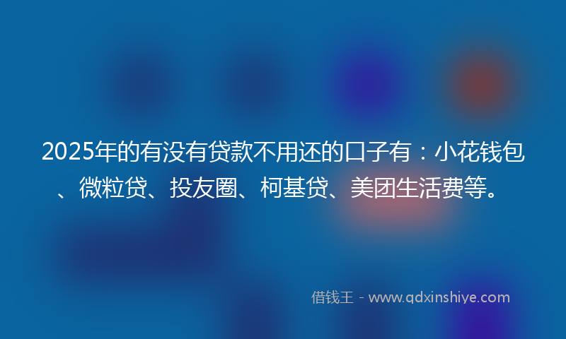 2025年的有没有贷款不用还的口子有：小花钱包、微粒贷、投友圈、柯基贷、美团生活费等。