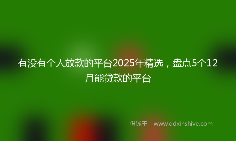 有没有个人放款的平台2025年精选，盘点5个12月能贷款的平台