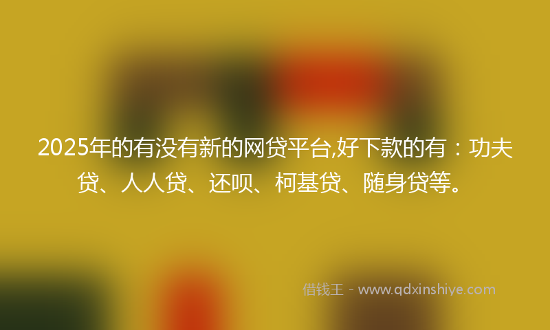 2025年的有没有新的网贷平台,好下款的有：功夫贷、人人贷、还呗、柯基贷、随身贷等。