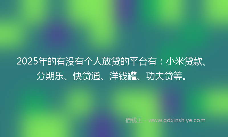 2025年的有没有个人放贷的平台有：小米贷款、分期乐、快贷通、洋钱罐、功夫贷等。