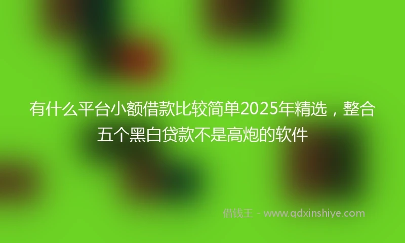 有什么平台小额借款比较简单2025年精选，整合五个黑白贷款不是高炮的软件