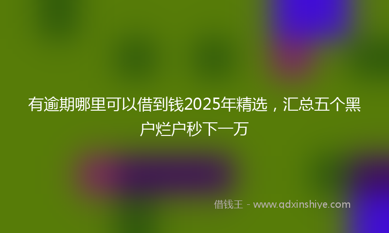 有逾期哪里可以借到钱2025年精选，汇总五个黑户烂户秒下一万