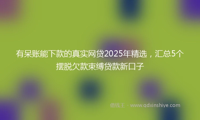 有呆账能下款的真实网贷2025年精选，汇总5个摆脱欠款束缚贷款新口子