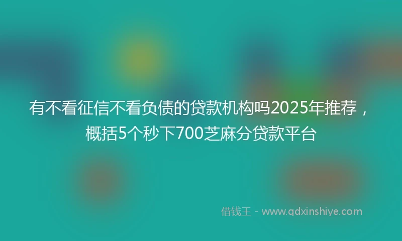 有不看征信不看负债的贷款机构吗2025年推荐，概括5个秒下700芝麻分贷款平台