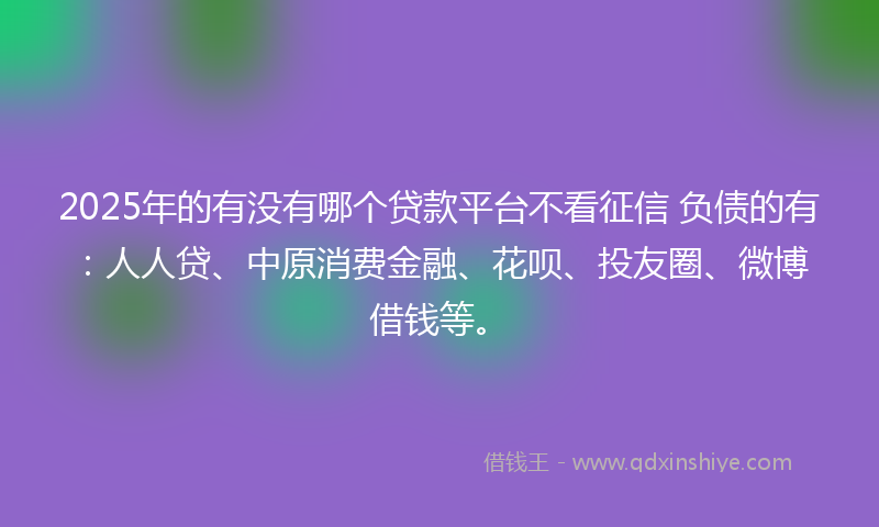 2025年的有没有哪个贷款平台不看征信 负债的有：人人贷、中原消费金融、花呗、投友圈、微博借钱等。