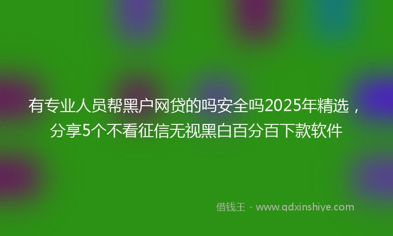 有专业人员帮黑户网贷的吗安全吗2025年精选，分享5个不看征信无视黑白百分百下款软件