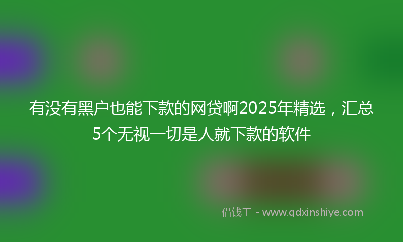 有没有黑户也能下款的网贷啊2025年精选，汇总5个无视一切是人就下款的软件