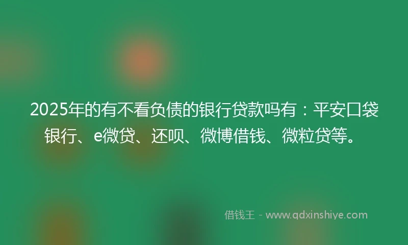 2025年的有不看负债的银行贷款吗有：平安口袋银行、e微贷、还呗、微博借钱、微粒贷等。