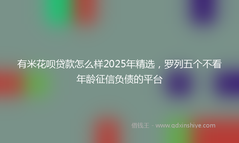 有米花呗贷款怎么样2025年精选，罗列五个不看年龄征信负债的平台