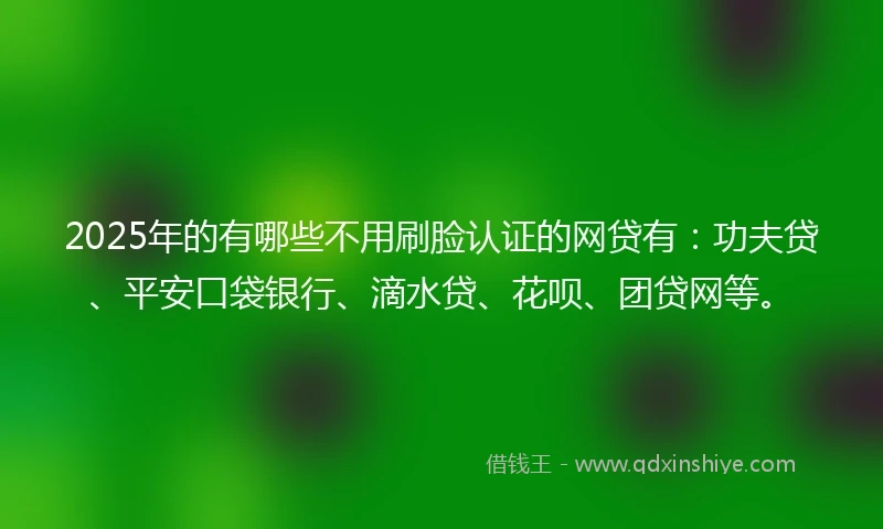 2025年的有哪些不用刷脸认证的网贷有：功夫贷、平安口袋银行、滴水贷、花呗、团贷网等。