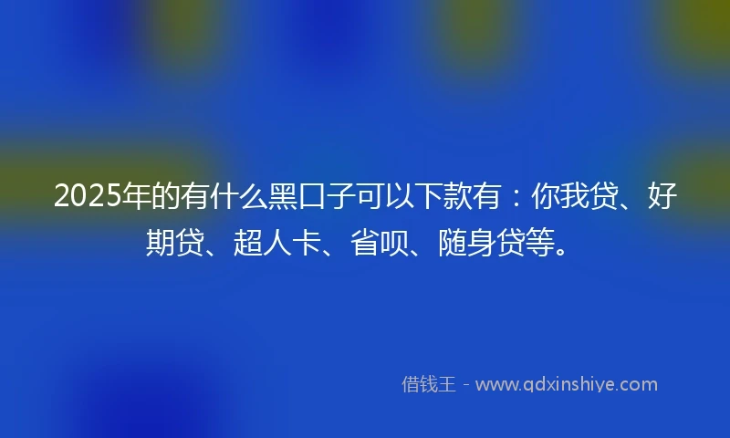 2025年的有什么黑口子可以下款有：你我贷、好期贷、超人卡、省呗、随身贷等。