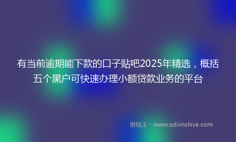 有当前逾期能下款的口子贴吧2025年精选，概括五个黑户可快速办理小额贷款业务的平台