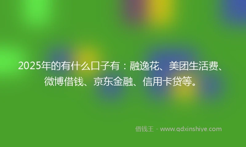 2025年的有什么口子有：融逸花、美团生活费、微博借钱、京东金融、信用卡贷等。