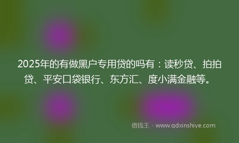 2025年的有做黑户专用贷的吗有：读秒贷、拍拍贷、平安口袋银行、东方汇、度小满金融等。
