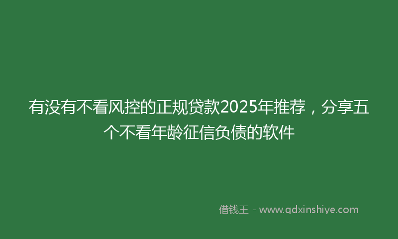 有没有不看风控的正规贷款2025年推荐，分享五个不看年龄征信负债的软件