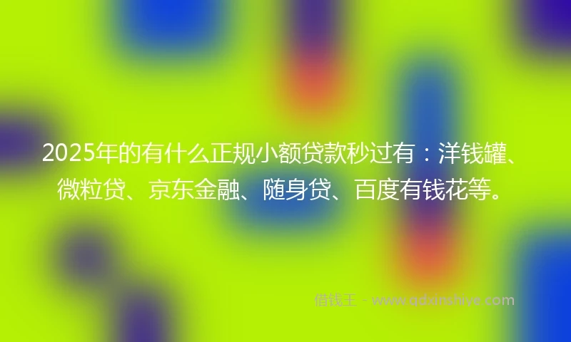 2025年的有什么正规小额贷款秒过有：洋钱罐、微粒贷、京东金融、随身贷、百度有钱花等。