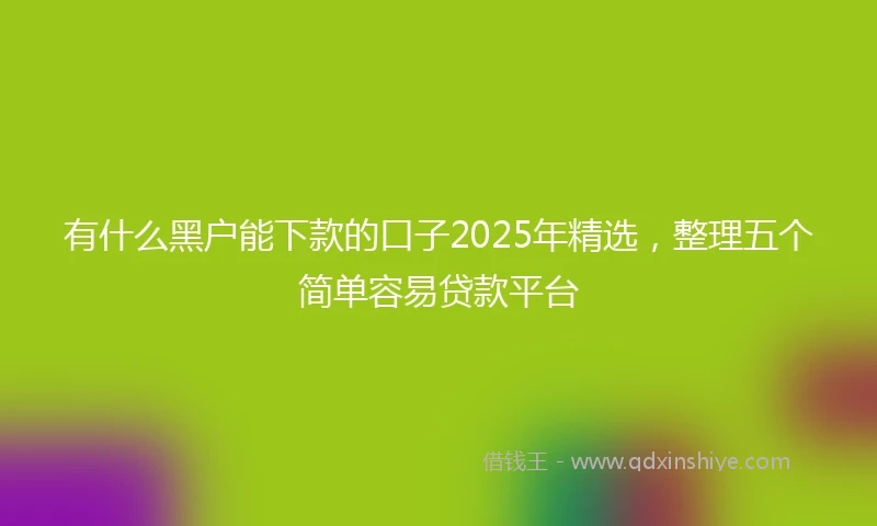 有什么黑户能下款的口子2025年精选，整理五个简单容易贷款平台
