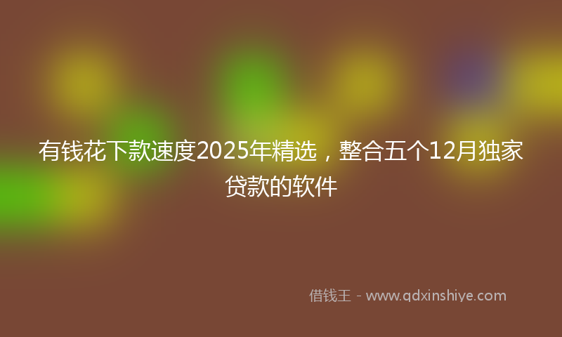 有钱花下款速度2025年精选，整合五个12月独家贷款的软件