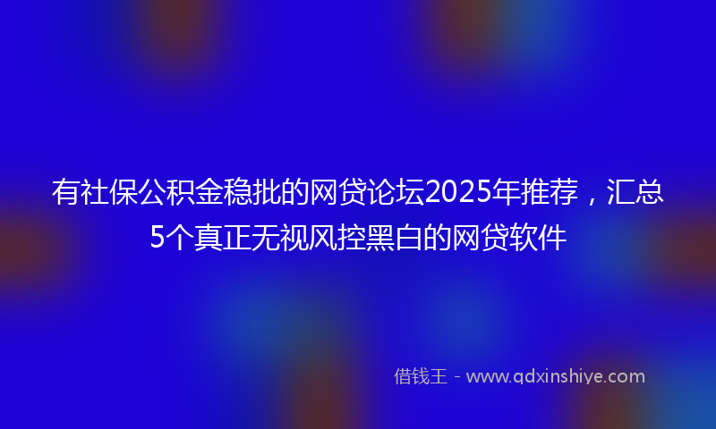 有社保公积金稳批的网贷论坛2025年推荐，汇总5个真正无视风控黑白的网贷软件