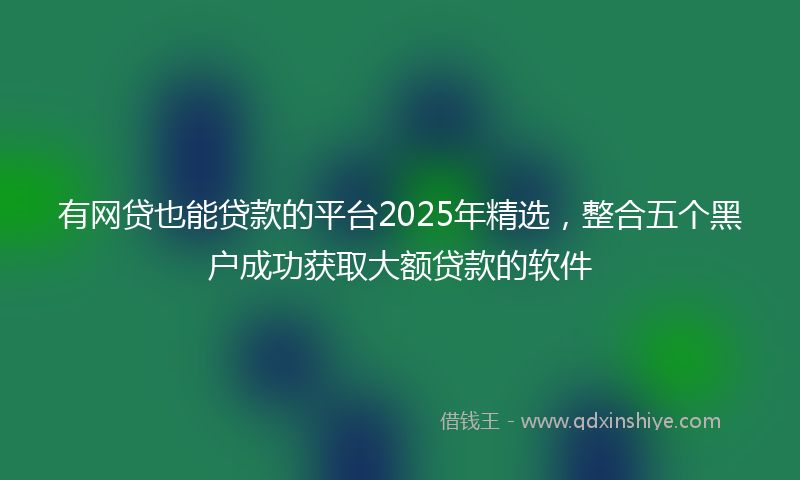 有网贷也能贷款的平台2025年精选，整合五个黑户成功获取大额贷款的软件