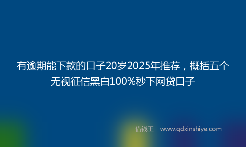 有逾期能下款的口子20岁2025年推荐，概括五个无视征信黑白100%秒下网贷口子