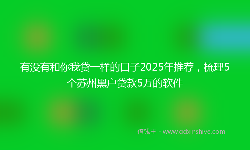 有没有和你我贷一样的口子2025年推荐，梳理5个苏州黑户贷款5万的软件