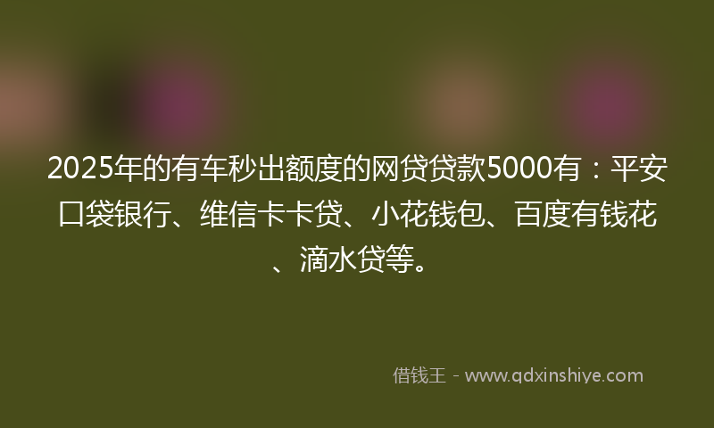 2025年的有车秒出额度的网贷贷款5000有：平安口袋银行、维信卡卡贷、小花钱包、百度有钱花、滴水贷等。