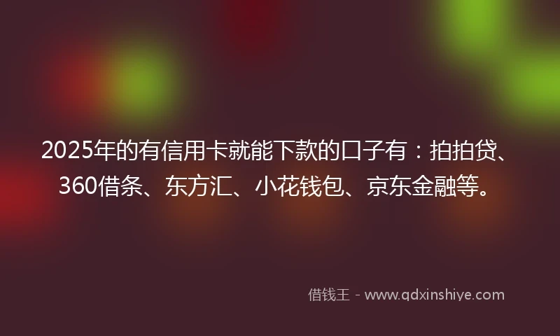 2025年的有信用卡就能下款的口子有：拍拍贷、360借条、东方汇、小花钱包、京东金融等。