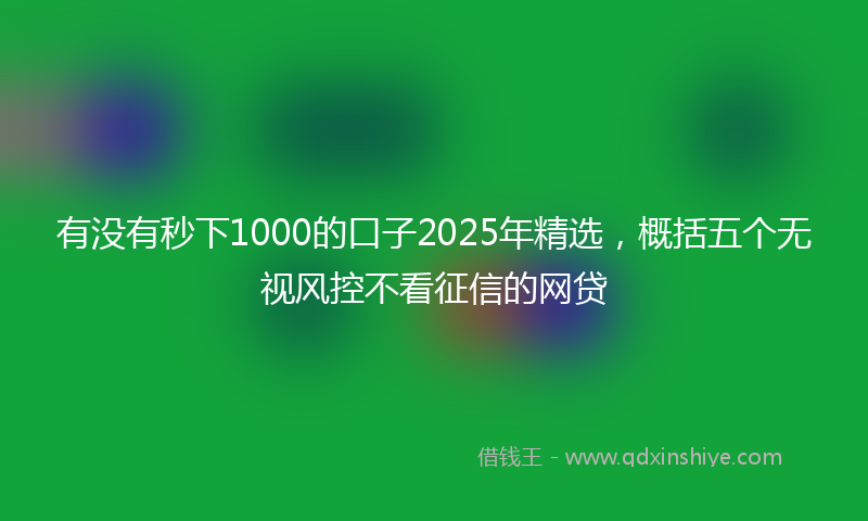 有没有秒下1000的口子2025年精选，概括五个无视风控不看征信的网贷