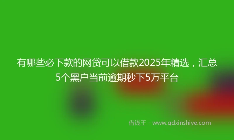 有哪些必下款的网贷可以借款2025年精选，汇总5个黑户当前逾期秒下5万平台