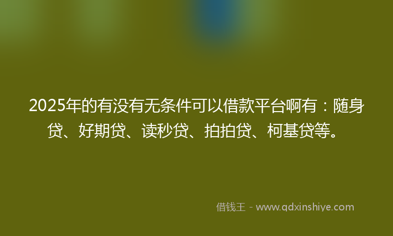 2025年的有没有无条件可以借款平台啊有:随身贷、好期贷、读秒贷、拍拍贷、柯基贷等。