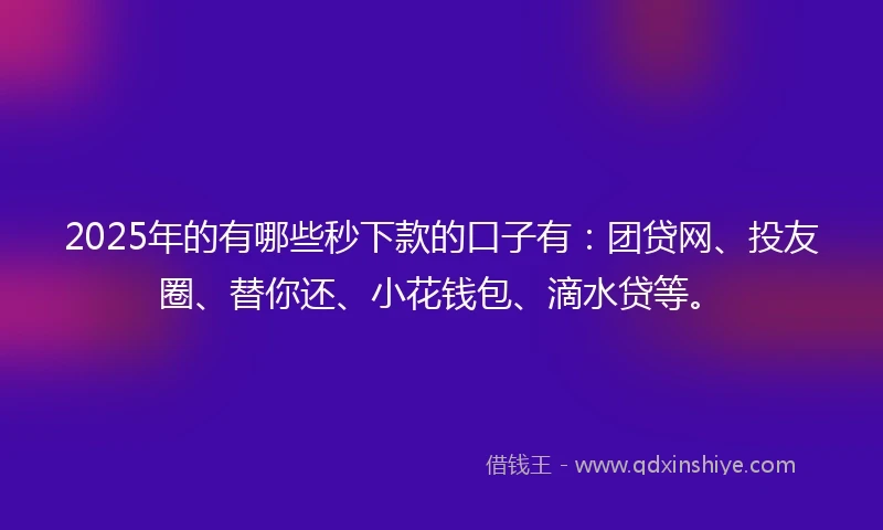 2025年的有哪些秒下款的口子有：团贷网、投友圈、替你还、小花钱包、滴水贷等。