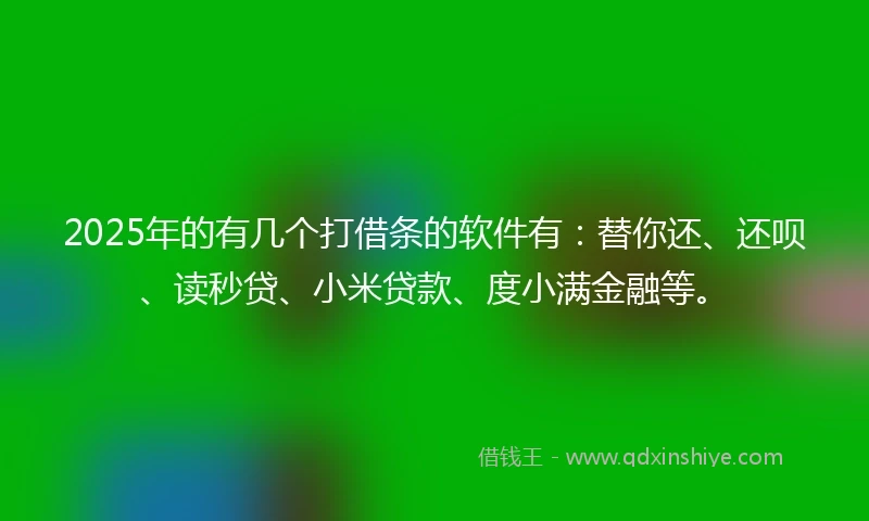 2025年的有几个打借条的软件有：替你还、还呗、读秒贷、小米贷款、度小满金融等。