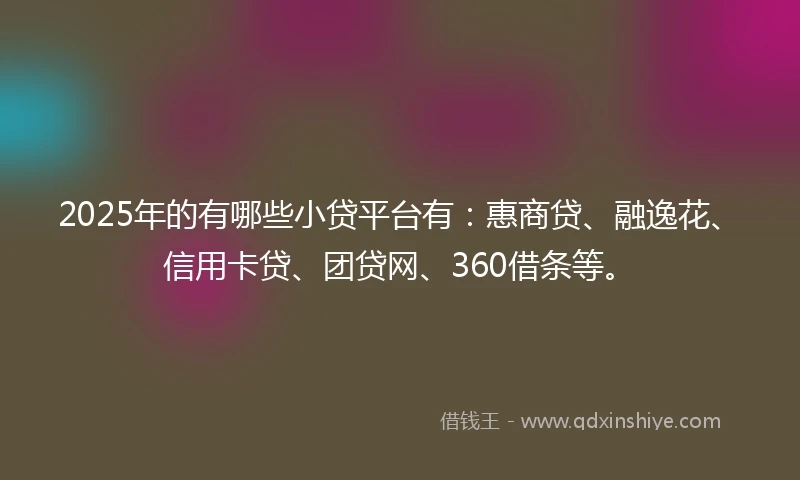 2025年的有哪些小贷平台有：惠商贷、融逸花、信用卡贷、团贷网、360借条等。
