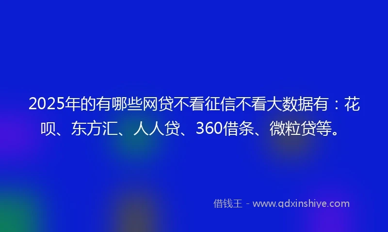 2025年的有哪些网贷不看征信不看大数据有：花呗、东方汇、人人贷、360借条、微粒贷等。