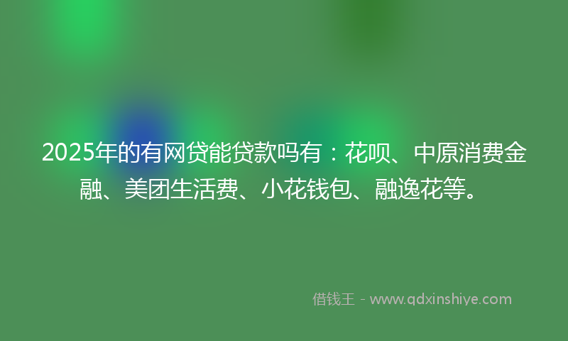 2025年的有网贷能贷款吗有：花呗、中原消费金融、美团生活费、小花钱包、融逸花等。