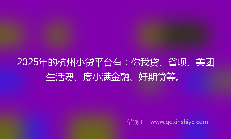 2025年的杭州小贷平台有：你我贷、省呗、美团生活费、度小满金融、好期贷等。