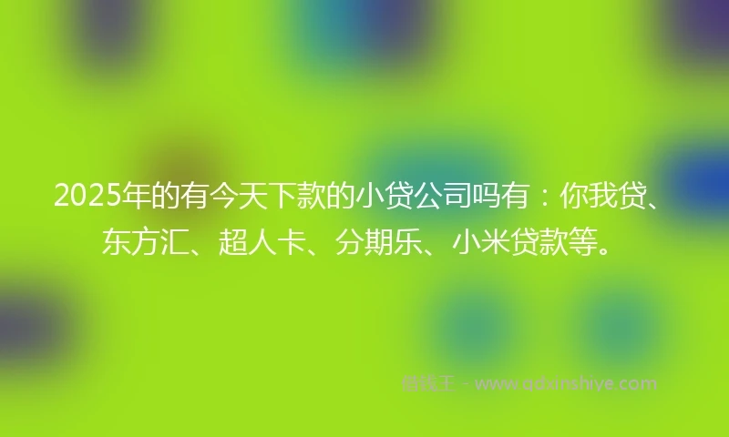 2025年的有今天下款的小贷公司吗有：你我贷、东方汇、超人卡、分期乐、小米贷款等。