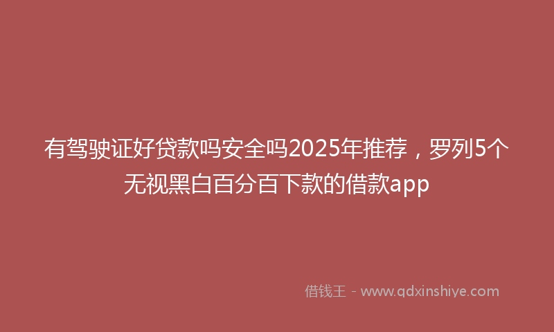 有驾驶证好贷款吗安全吗2025年推荐，罗列5个无视黑白百分百下款的借款app