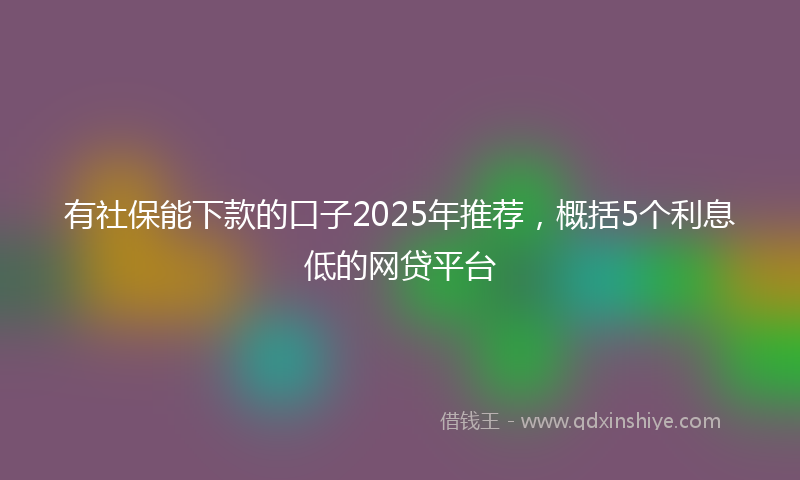 有社保能下款的口子2025年推荐，概括5个利息低的网贷平台