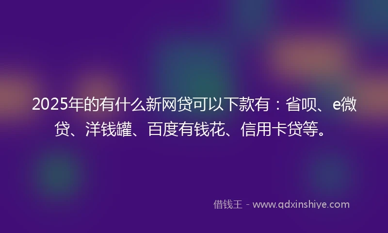 2025年的有什么新网贷可以下款有:省呗、e微贷、洋钱罐、百度有钱花、信用卡贷等。