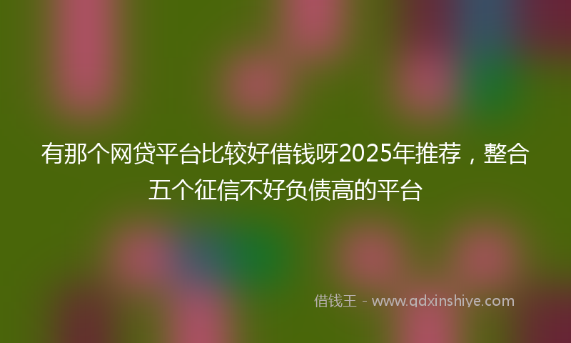 有那个网贷平台比较好借钱呀2025年推荐，整合五个征信不好负债高的平台