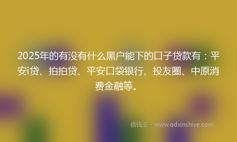 2025年的有没有什么黑户能下的口子贷款有：平安i贷、拍拍贷、平安口袋银行、投友圈、中原消费金融等。