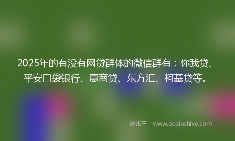 2025年的有没有网贷群体的微信群有：你我贷、平安口袋银行、惠商贷、东方汇、柯基贷等。