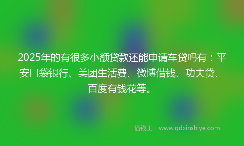 2025年的有很多小额贷款还能申请车贷吗有：平安口袋银行、美团生活费、微博借钱、功夫贷、百度有钱花等。