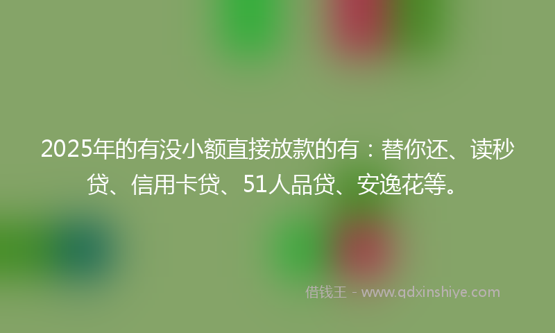 2025年的有没小额直接放款的有：替你还、读秒贷、信用卡贷、51人品贷、安逸花等。
