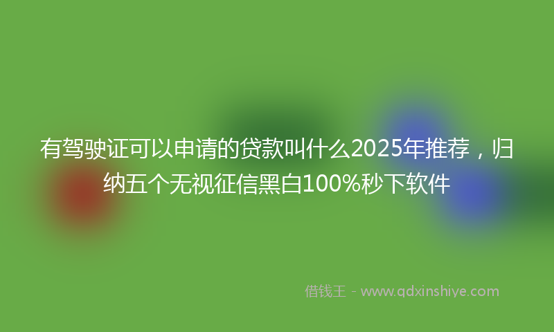 有驾驶证可以申请的贷款叫什么2025年推荐，归纳五个无视征信黑白100%秒下软件